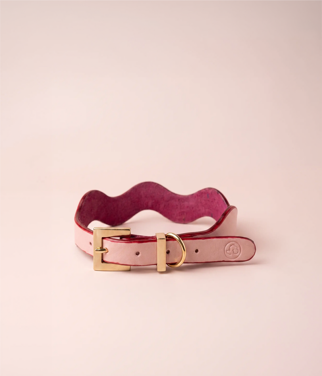 Collar Bloomy