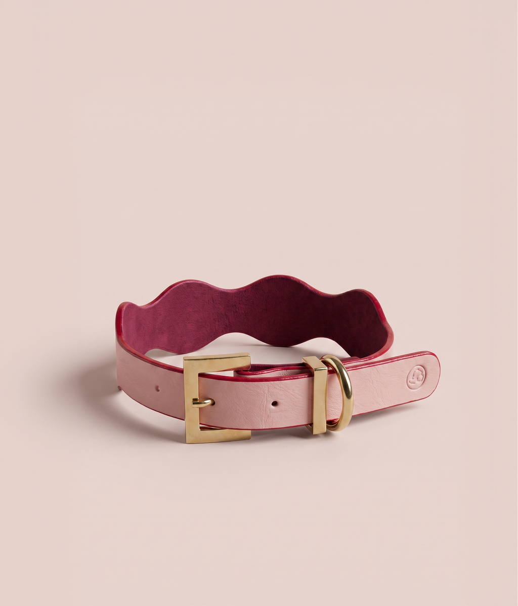Collar Petal
